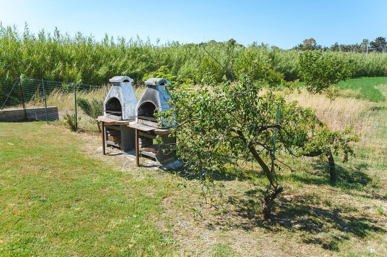 Agriturismo Ferri Bibbona Dış mekan fotoğraf