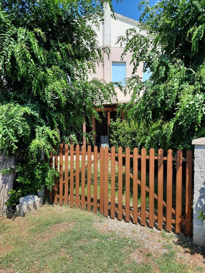 Agriturismo Ferri Bibbona Dış mekan fotoğraf