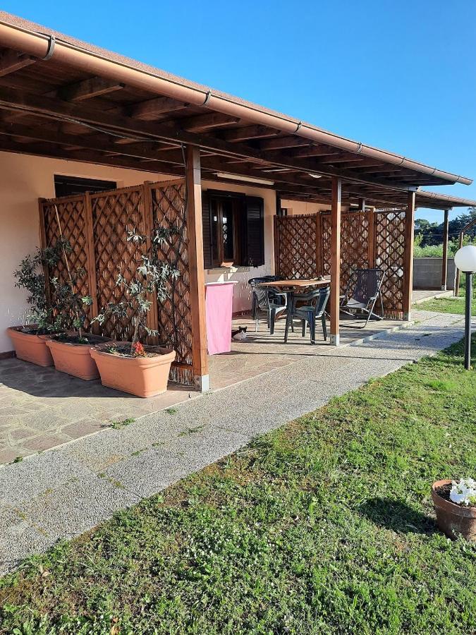 Agriturismo Ferri Bibbona Dış mekan fotoğraf